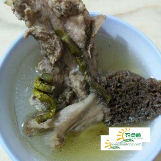 新鲜羊肚菌的做法煲汤：羊肚菌骨头汤,第3图