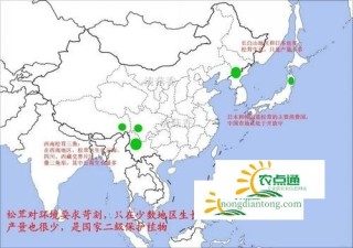 国内松茸的四大产地,第1图