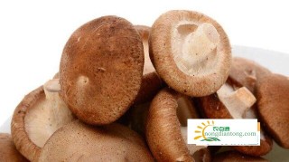 平菇和香菇的营养价值,第1图