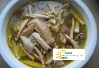 鸡枞菌煲汤——补充蛋白质,第2图