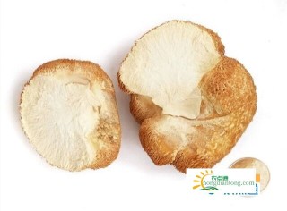 猴头菇炖鸡汤的做法及猴头菇的营养成分,第3图