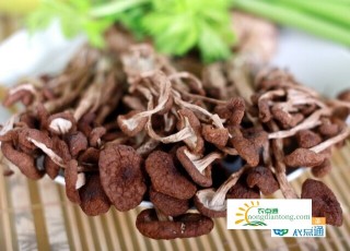 茶树菇的营养价值与功效，茶树菇能防癌抗癌,第1图