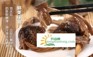 干鸡枞怎么泡发才有营养？,第1图