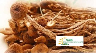 茶树菇的功效与作用，茶树菇可以抗癌吗？,第2图