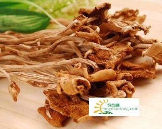 哪些人不能吃茶树菇？茶树菇适合什么人吃？,第3图