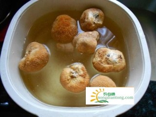 茶树菇猴头菇猪骨汤,第1图