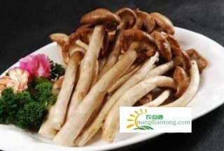 茶树菇炒肉这样做，更好吃！,第2图