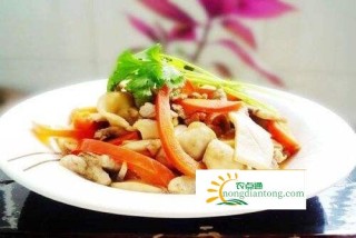 野生鸡腿菇什么季节有？野生鸡腿菇有毒吗？,第3图