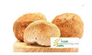 吃腰果烩炒鲜猴头菇的好处养胃改善睡眠,第4图