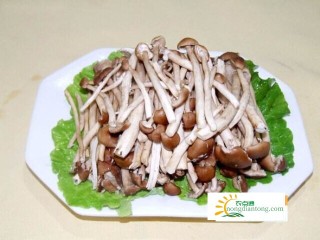 茶树菇炒牛肉热量,第2图