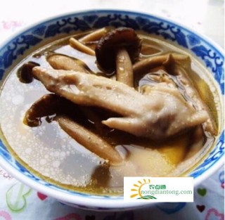 食用茶树菇炖鸡的好处平肝明目健脾养胃,第3图