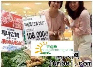 日本人的松茸为什么那么贵？,第1图