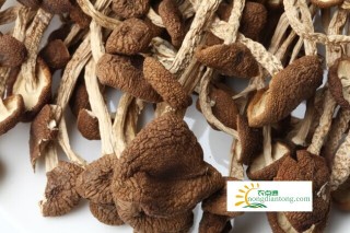 茶树菇的营养和功效,第2图