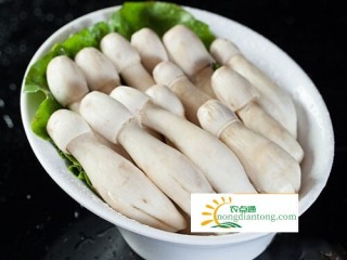 孕妇能吃鸡腿菇吗,第3图