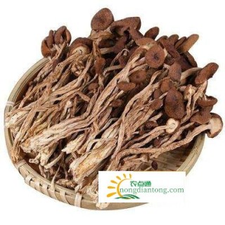 吃干茶树菇有什么功效？茶树菇为什么发苦？,第3图