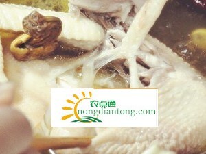 松茸炖鸡,第6图