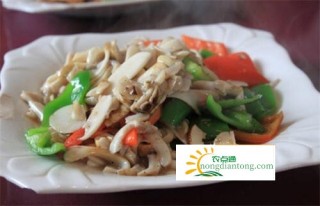 野生松茸菌可以生吃吗？怎样吃更好？,第3图