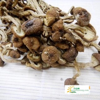 茶树菇的营养价值和功效有哪些，怎样做茶树菇营养价值更高？,第3图