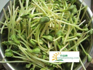 新鲜猴头菇能用来涮火锅吗,第3图