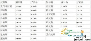 鸡枞有哪些营养价值？,第3图