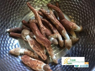 野生鸡枞菌的营养价值，鸡枞菌不可忽视的食用禁忌,第3图