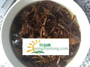 干茶树菇炖鸡汤的做法，冬日滋阴润燥好帮手,第1图