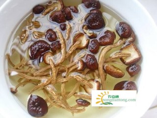 老鸭炖茶树菇的做法怎么做好吃,第2图