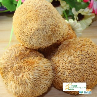 海林猴头菇几月份有，适合小孩吃的猴头菇的做法,第1图