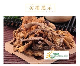 干鸡枞菌要泡多久,第2图