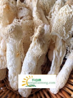 竹荪属于蘑菇类吗，如何做竹荪鸡汤,第1图