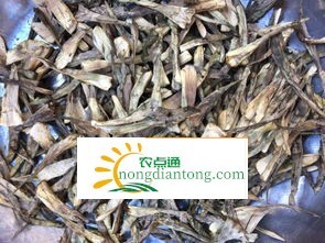 干巴菌韭菜花怎么做好吃？,第2图