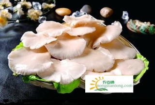 爆炒金针菇平菇，别让自己错过美味,第1图