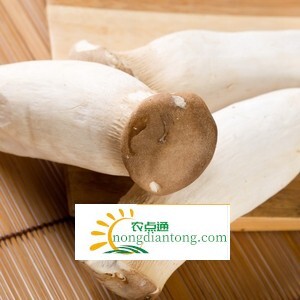 食用杏鲍菇的5大禁忌,第2图