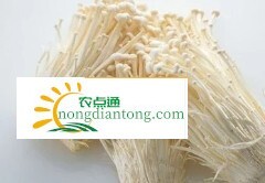 金针菇的功效与作用，经常食用对人体有很多好处,第2图