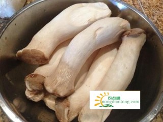 吃杏鲍菇的禁忌和作用,第1图