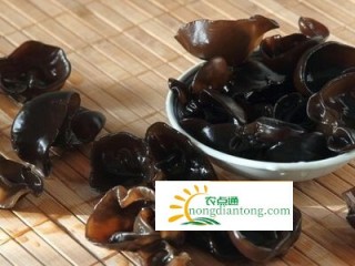 木耳属于发物食物吗，黑木耳相关禁忌,第2图