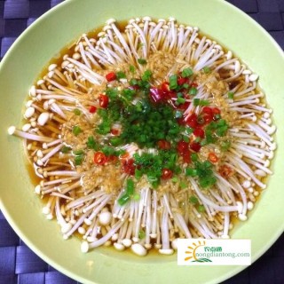 蒜茸蒸金针菇，金针菇高产栽培的五个方法,第1图