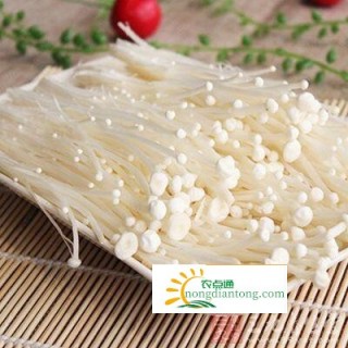 豆腐金针菇汤,第1图