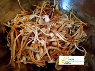 新鲜火腿金针菇蘑菇 怎样做才能好吃又营养,第2图