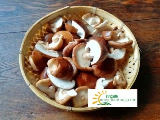 香菇炖鸡肉的营养和功效,第2图