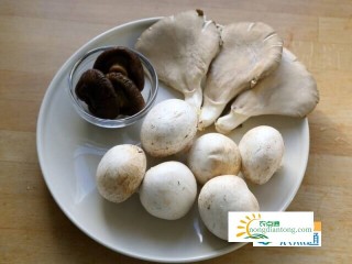 平菇香菇蘑菇怎么烧好吃，适合孕妇的平菇吃法,第2图