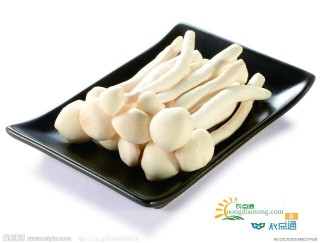 海鲜菇工厂化袋式高效栽培技术,第3图
