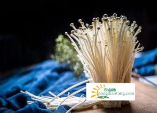 金针菇的营养成分和作用,第1图