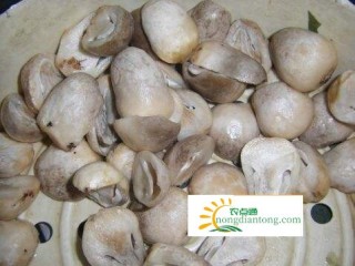 草菇需要焯水吗？草菇焯水后用冷水侵泡吗？,第3图