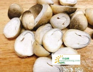 草菇罐头可以怎样吃？草菇罐头的吃法,第3图