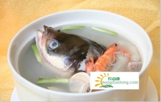 孕妇可以吃草菇鱼头汤吗,第2图