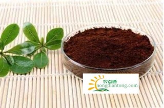 灵芝孢子粉和灵芝粉的区别有哪些？哪一个更好？,第2图