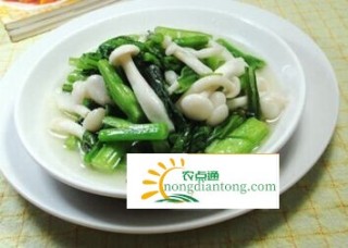 白玉菇炒油菜怎么做好吃？,第3图