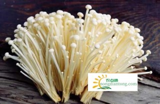 金针菇蘑菇饨汤怎么做,第1图