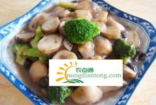 草菇和哪些食材相克？,第1图